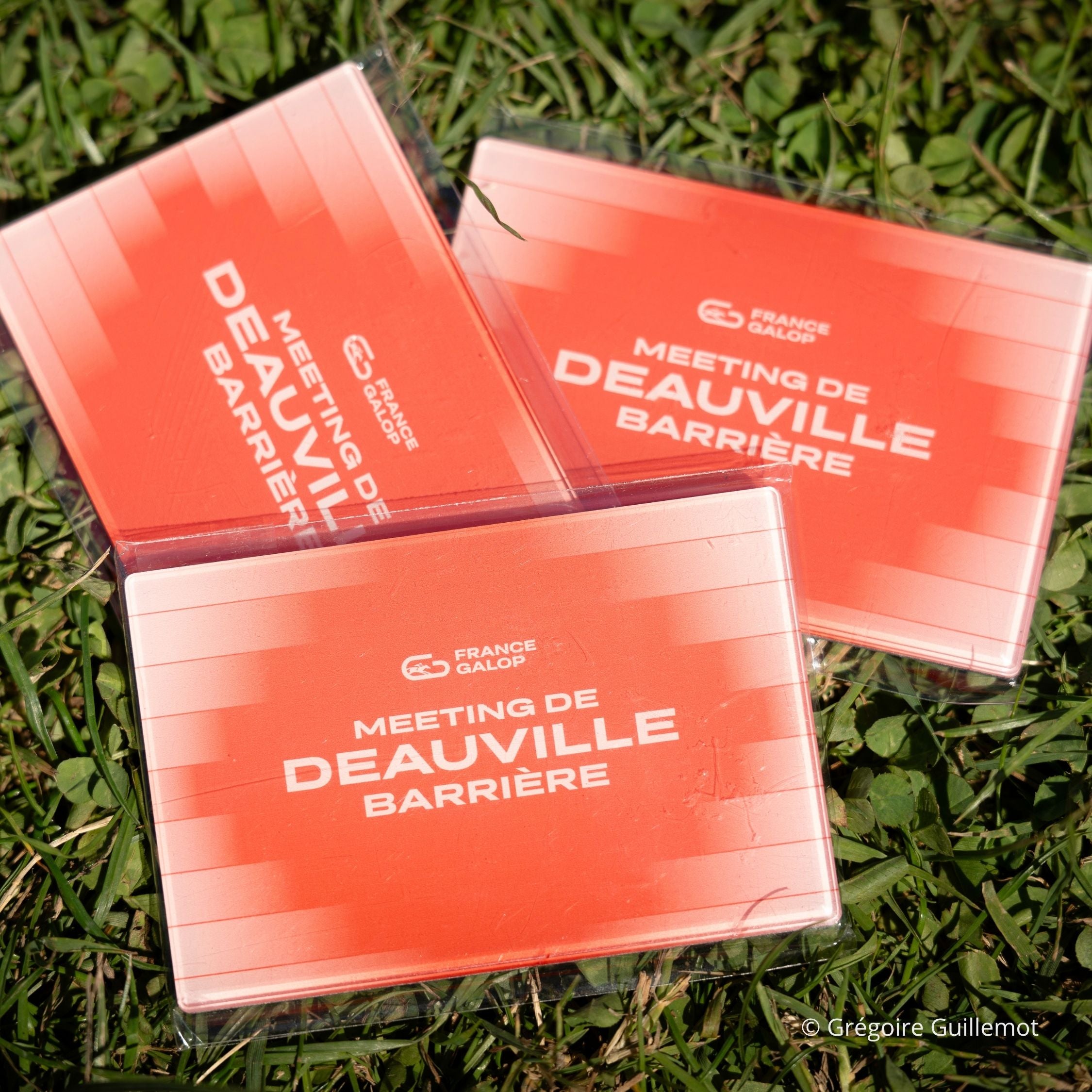 Deauville Barriere Magnet Meeting Pink Gradient